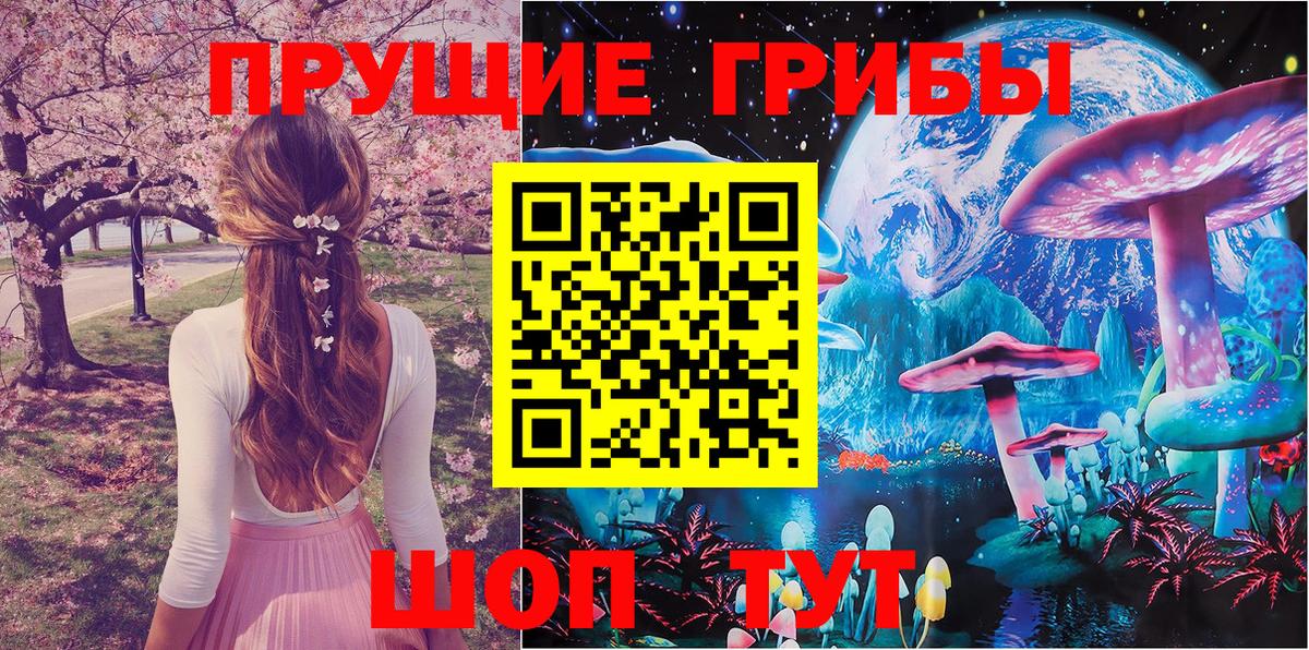 Псилоцибиновые грибы прущие грибы  Псилоцибиновые грибы мухоморы  Вход с VPN  купить  сайты  Асино 
